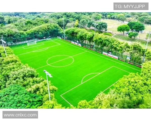 深圳专业足球场打造高水平赛事平台助力青少年足球发展